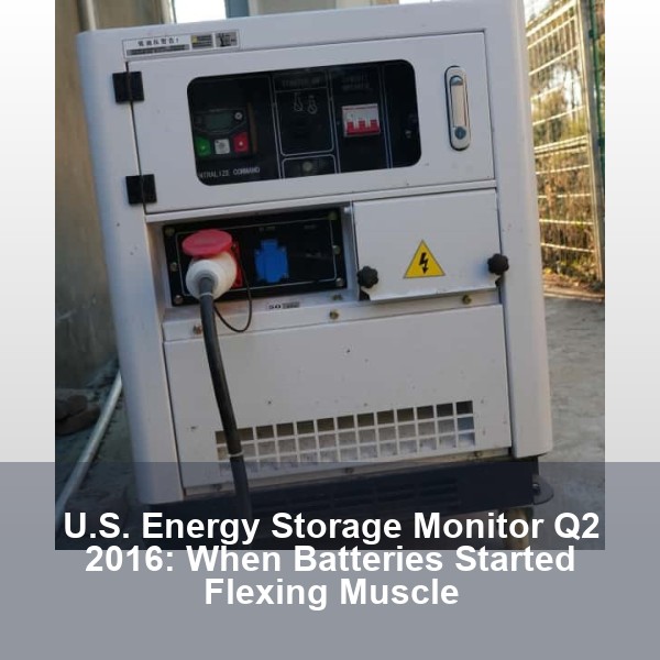 U.S. Energy Storage Monitor Q2 2016: When Batteries Started Flexing Muscle